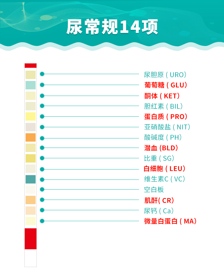 尿大夫14项尿液分析试纸尿常规家用尿检测仪尿检仪尿蛋白检测器 尿