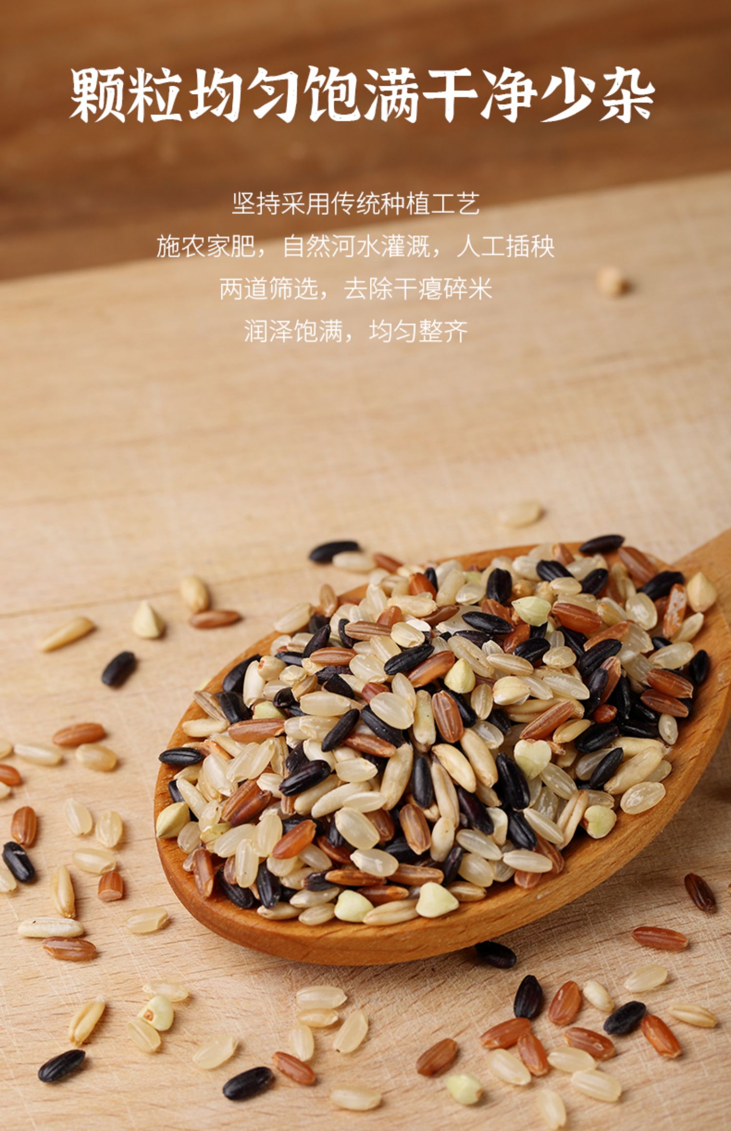 5折5斤五色糙米饭粗粮五谷杂粮饭三色米低脂健身