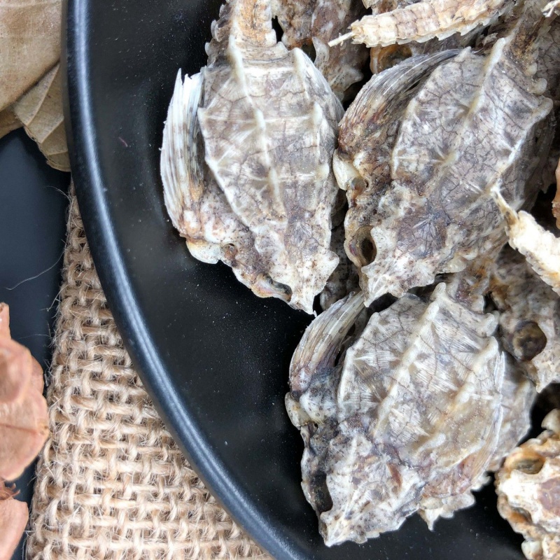 海燕海雀干北海海龙中材煲汤泡酒料干货10克50克200g可选海燕50克