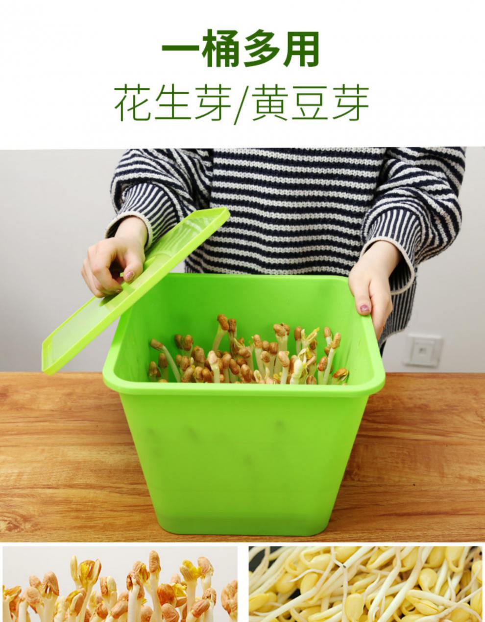 水培花生芽种植盆种花生芽水培箱育苗盘发芽全自动培育盒 半斤带壳红