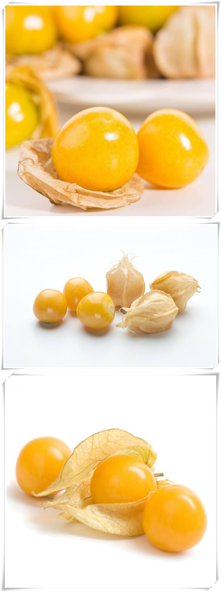 源外园东北黄菇娘菇鸟洋菇娘金姑娘金灯果黄金莓新鲜甜锦灯笼果3斤