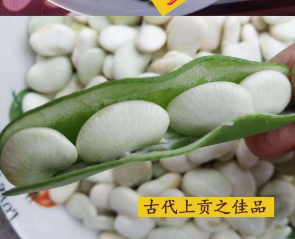 3斤新鲜白玉豆江西特产 带壳农家蔬菜 三清豆玉山特产 1500g