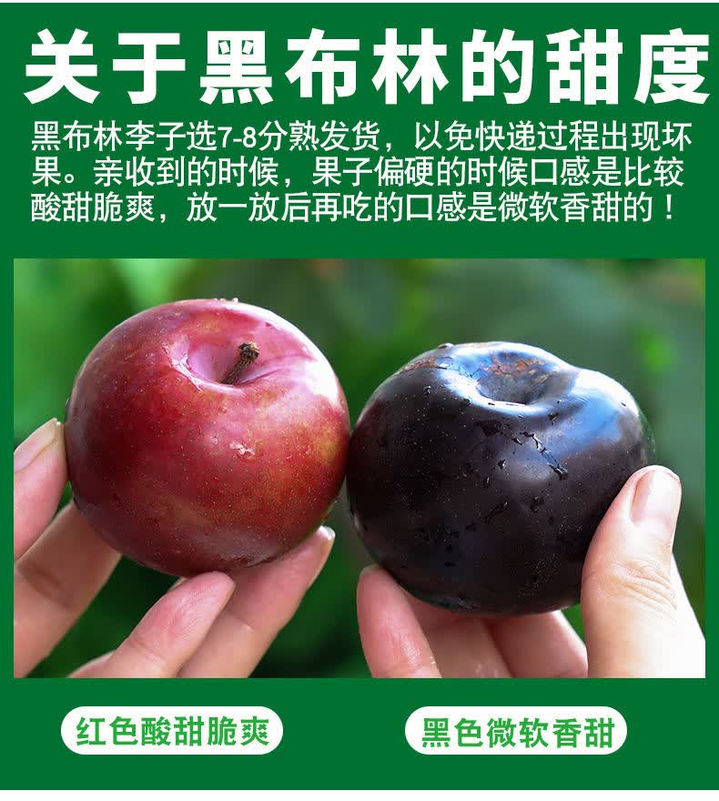 黑布李黑李子 皮薄肉厚多汁孕妇水果送人送礼 精选高品质智利黑布林 4