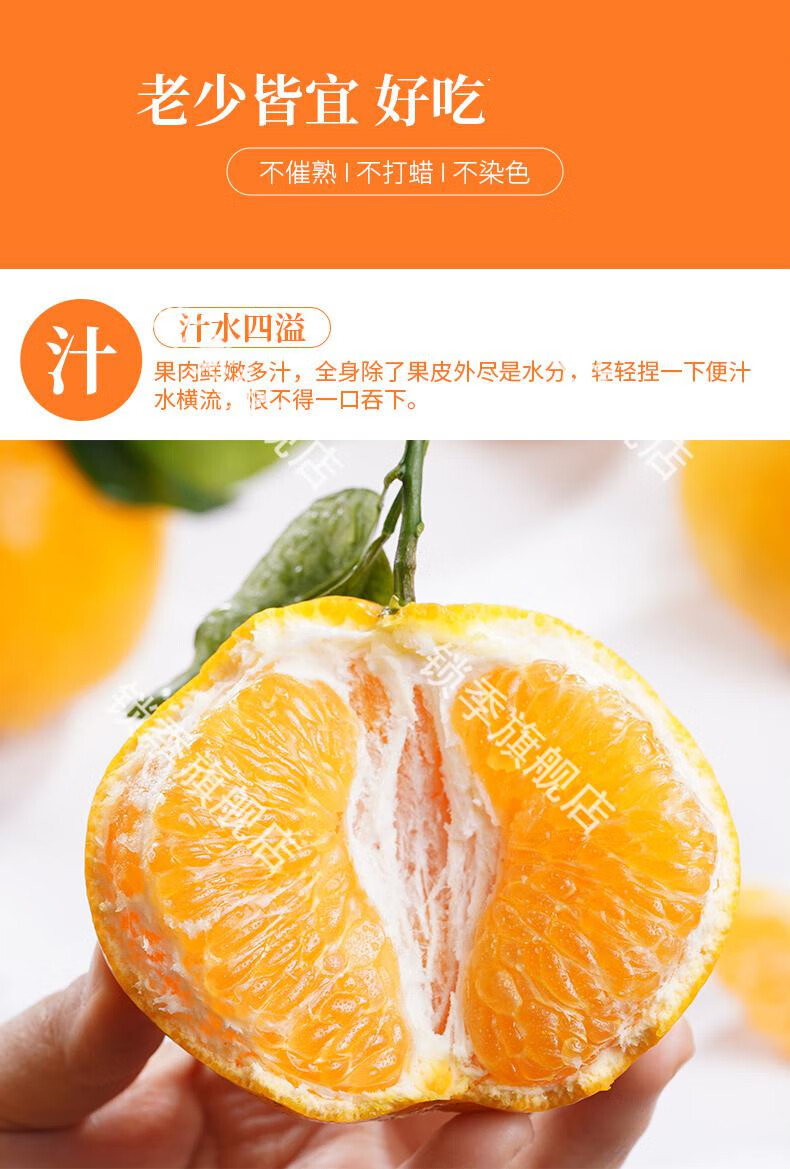 杷杷柑大果醜橘水果新鮮橘子當季整箱 5斤 【特大果】丨買到就是賺到