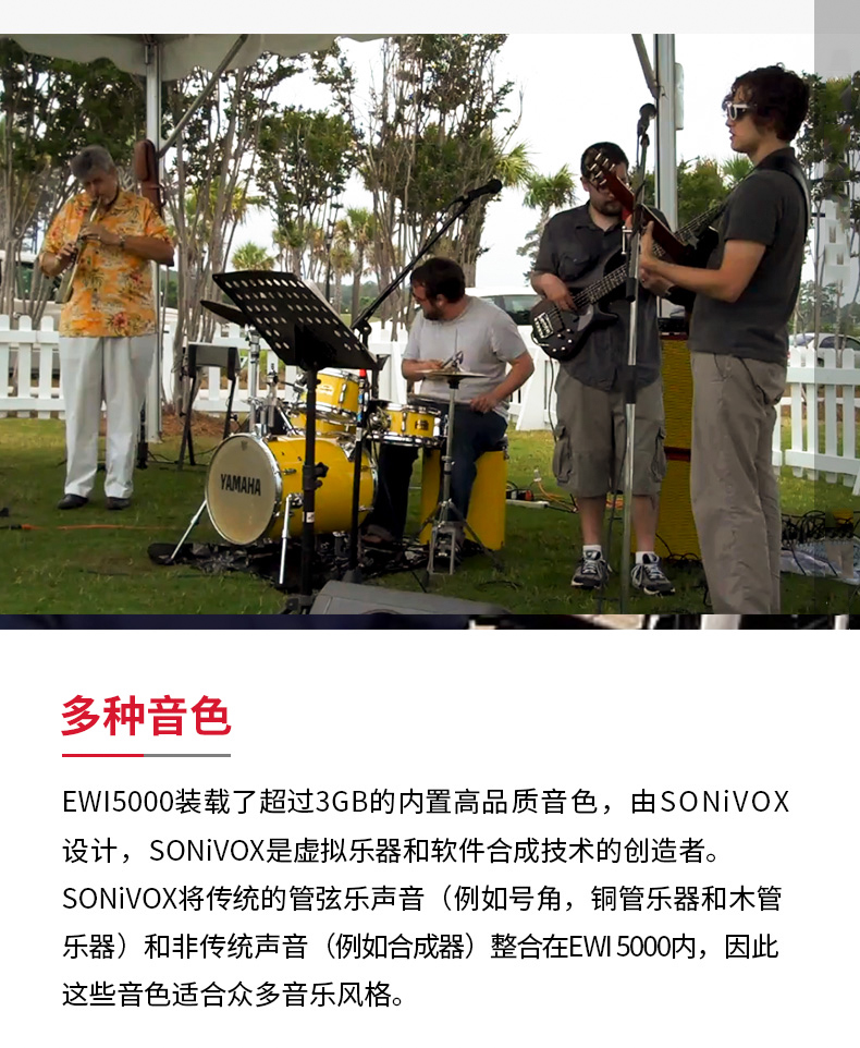 akai雅佳ewi5000电吹管乐器初学者电萨克斯管乐器大全定制款黑色ewi