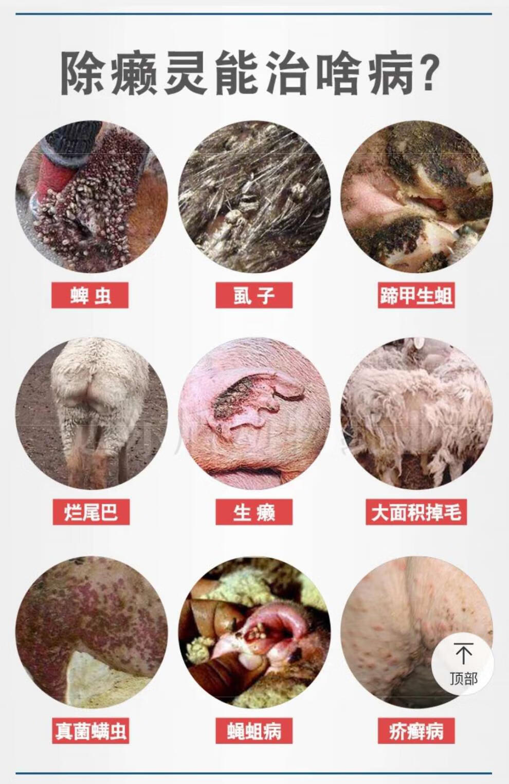 猪牛羊除癞灵兽用辛硫磷溶液体外驱虫药螨虱蜱虫杀虫剂除赖灵【图片