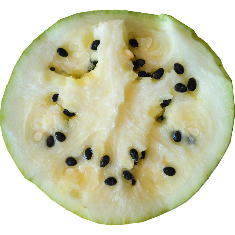 赤峰打瓜敖汉打瓜内蒙古赤峰特产赤峰打瓜籽瓜4000g