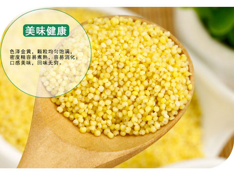 内蒙古特产赤峰蒙田黄小米大金苗25kg农家月子米小黄米杂粮两件