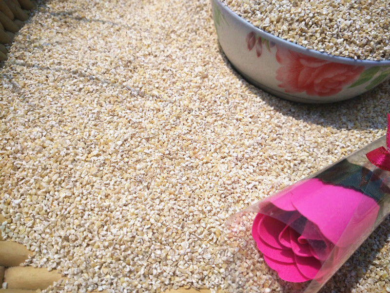 盐城特产苏北五谷杂粮大麦彩子粗粮大麦糁大麦采子大麦米额满 大麦片5