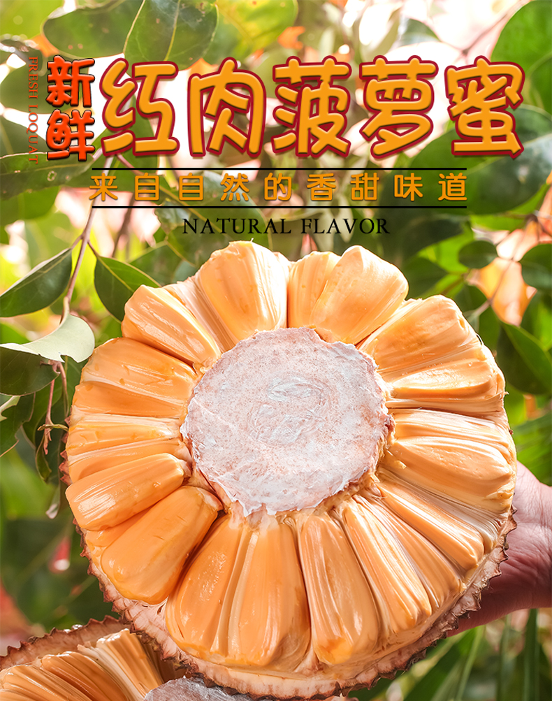 红肉菠萝蜜新鲜水果当季整个红心波萝密1214斤