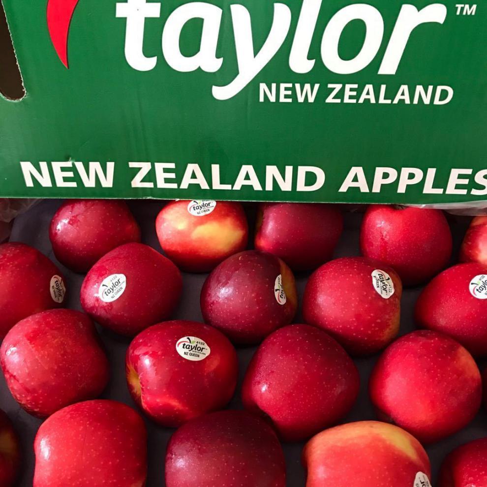 【顺丰速发】新西兰4122红玫瑰苹果大果taylor皇后苹果进口苹果送人