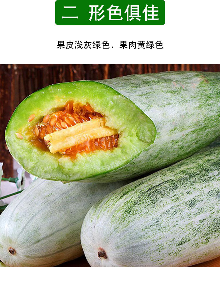 羊角蜜甜瓜种籽种子苗孑酥密脆苗秧四季瓜苗香瓜牛角蜜瓜 羊角蜜20粒