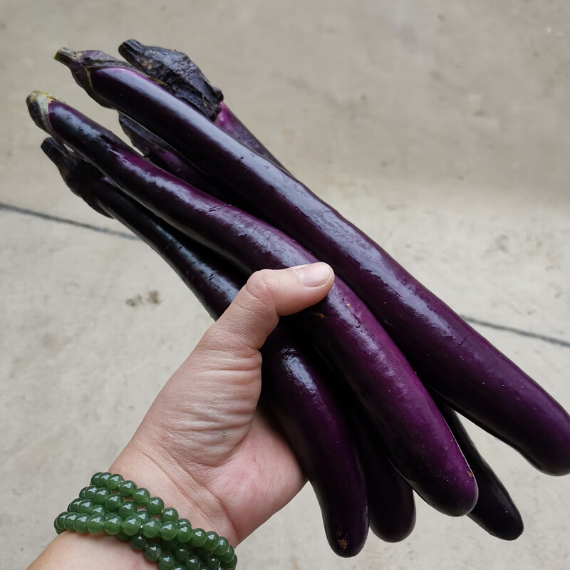 新鲜茄子 线茄子细长小茄子福建农家茄瓜绿色天然蔬菜 500g【图片 价