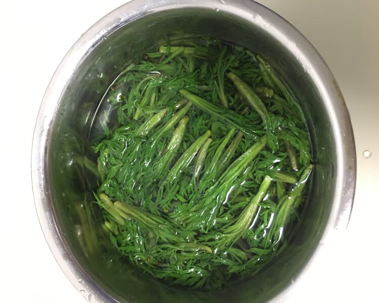 2022新鲜东北山春季野菜纯野生柳蒿芽水蒿食用蘸酱菜现采现发500g