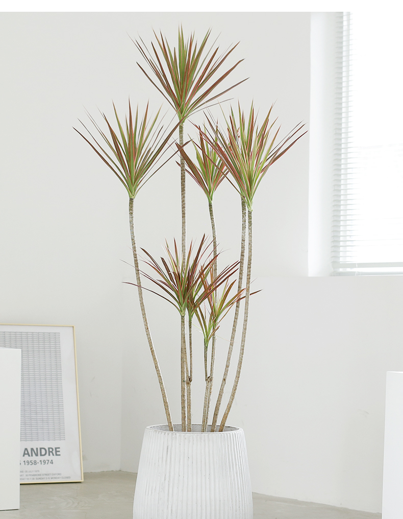 网红千年木盆栽日系风格花卉室内绿植大型植物客厅大盆栽净化空气