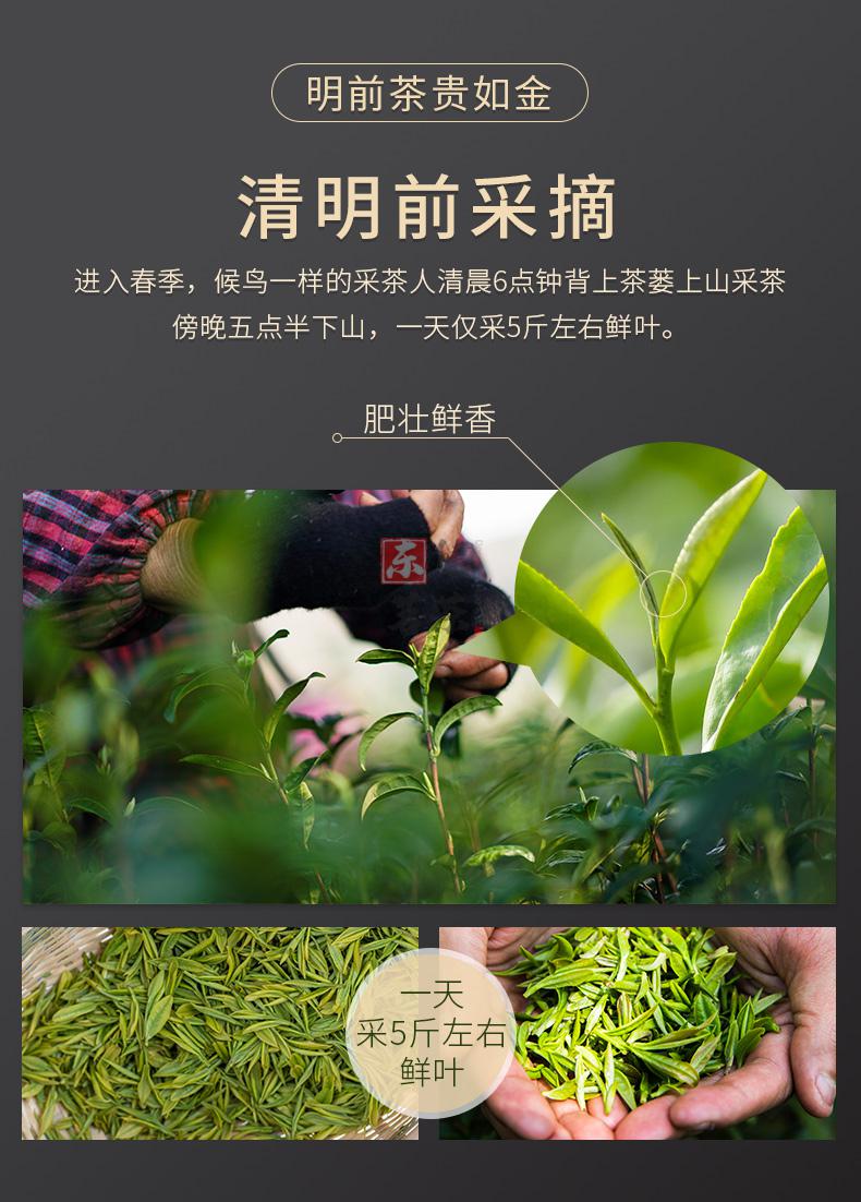 东健茗茶 2020新茶 崂山绿茶耐泡罐装山东青岛特产特级明前茶 100g