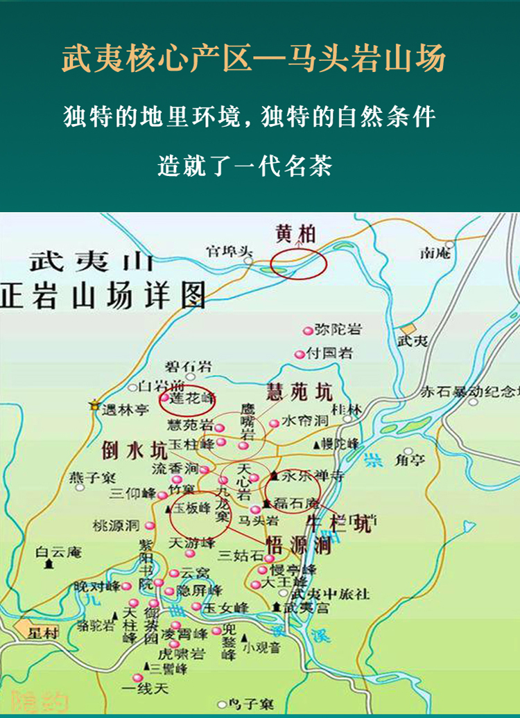 5折武夷山马头岩肉桂茶正岩牛栏坑礼盒装果香花香礼大红袍茶叶108g