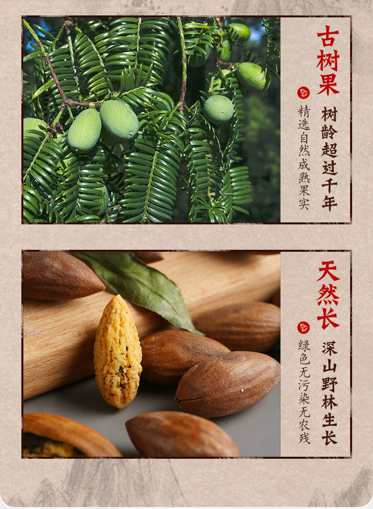 2021新货枫桥香榧特级诸暨特产100g500g批发香妃嵊州干果香榧子千年