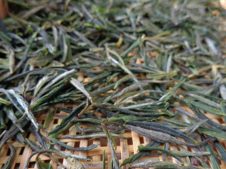 东白春芽新茶上市太白顶芽东阳土特产东白山高山绿茶叶茶尖50g