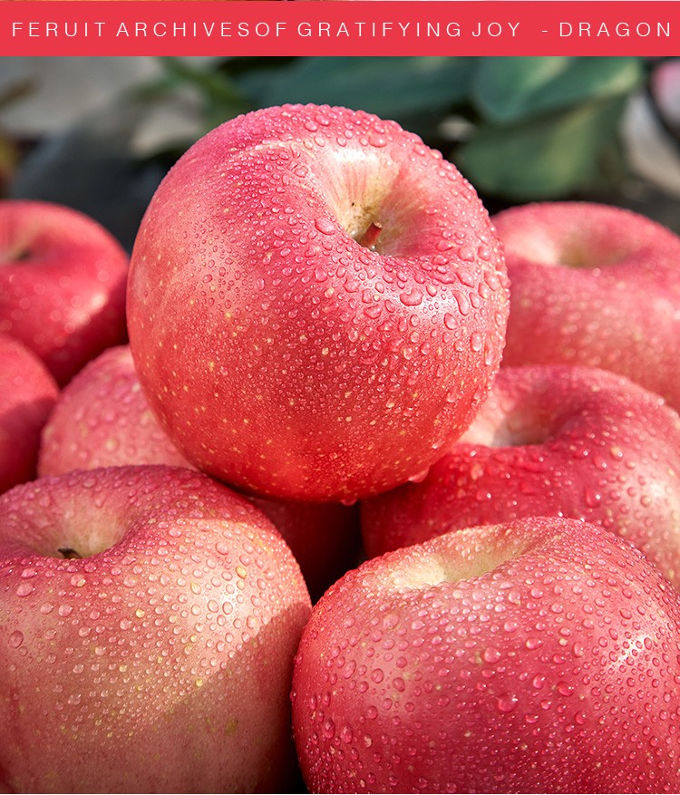 年货节礼盒山东烟台红富士苹果水果礼盒整箱新鲜年货礼盒过节送礼780