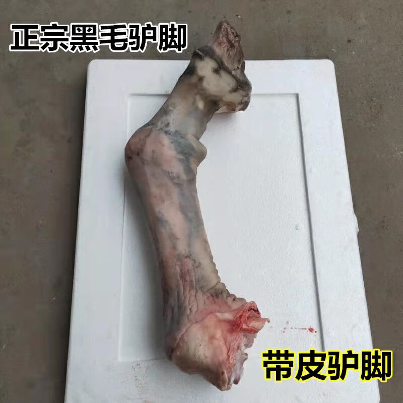 驴脚蹄新鲜现杀正宗带皮驴腿驴蹄筋小腿筋驴脚新鲜现杀鲜驴肉 普通:3