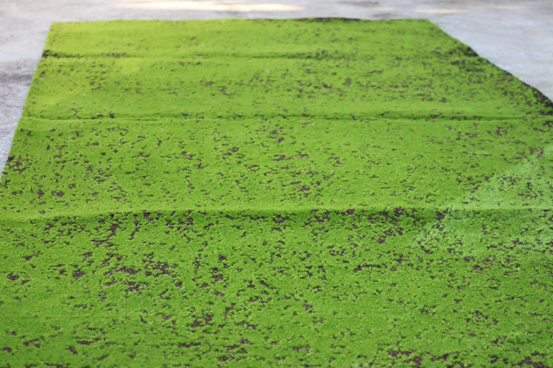 农民老史仿真青苔藓草皮草坪植物景观绿色植物场景橱窗展示盆景盆栽假