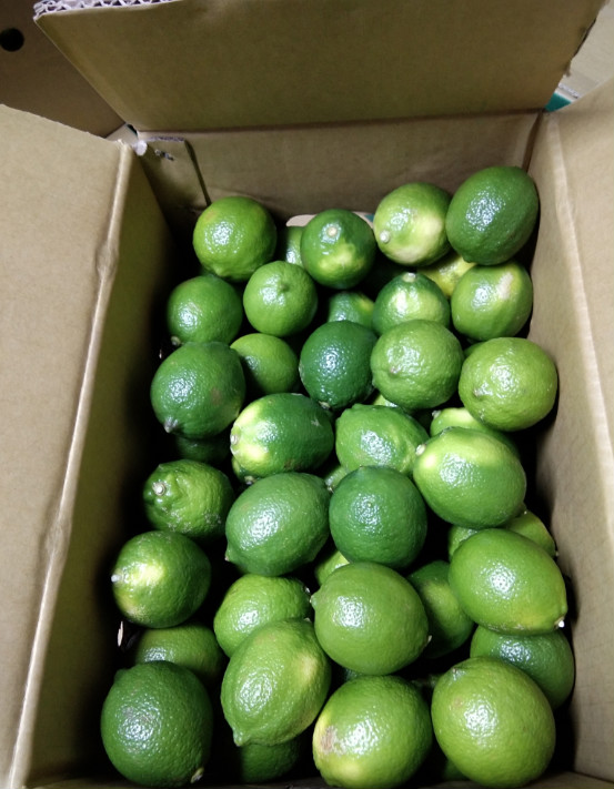 青柠檬5斤装 绿宝石四季青柠檬屏东尤力克香水新鲜翡翠 单果90-140g 5