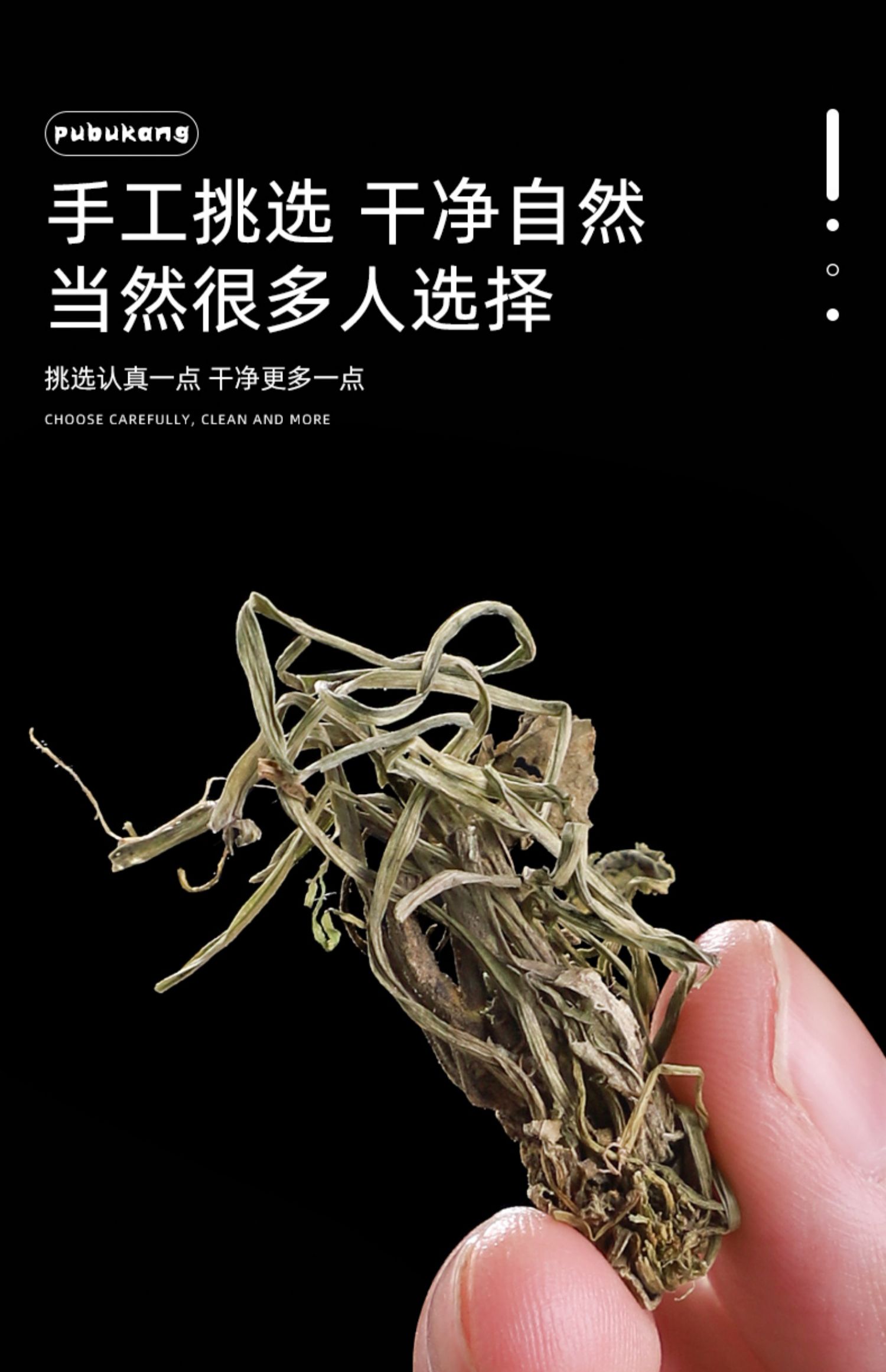 北京同仁堂地丁草新鲜500g草药干泡茶散装中药材粉野生特级紫花地丁茶