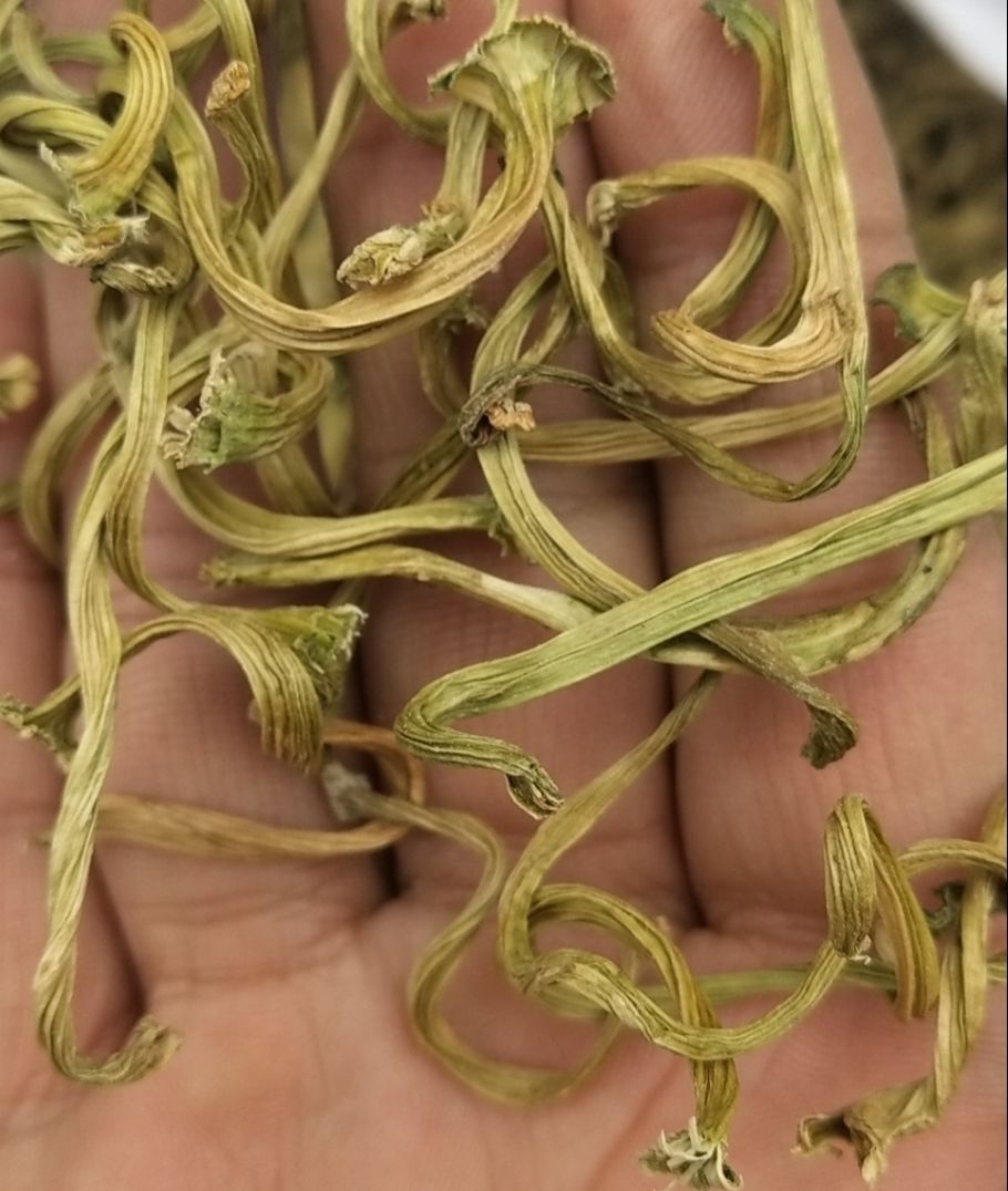 甜瓜蒂10/500克无硫甜瓜蒂粉新货苦丁香野生中药材瓜蒂瓜丁甜瓜把