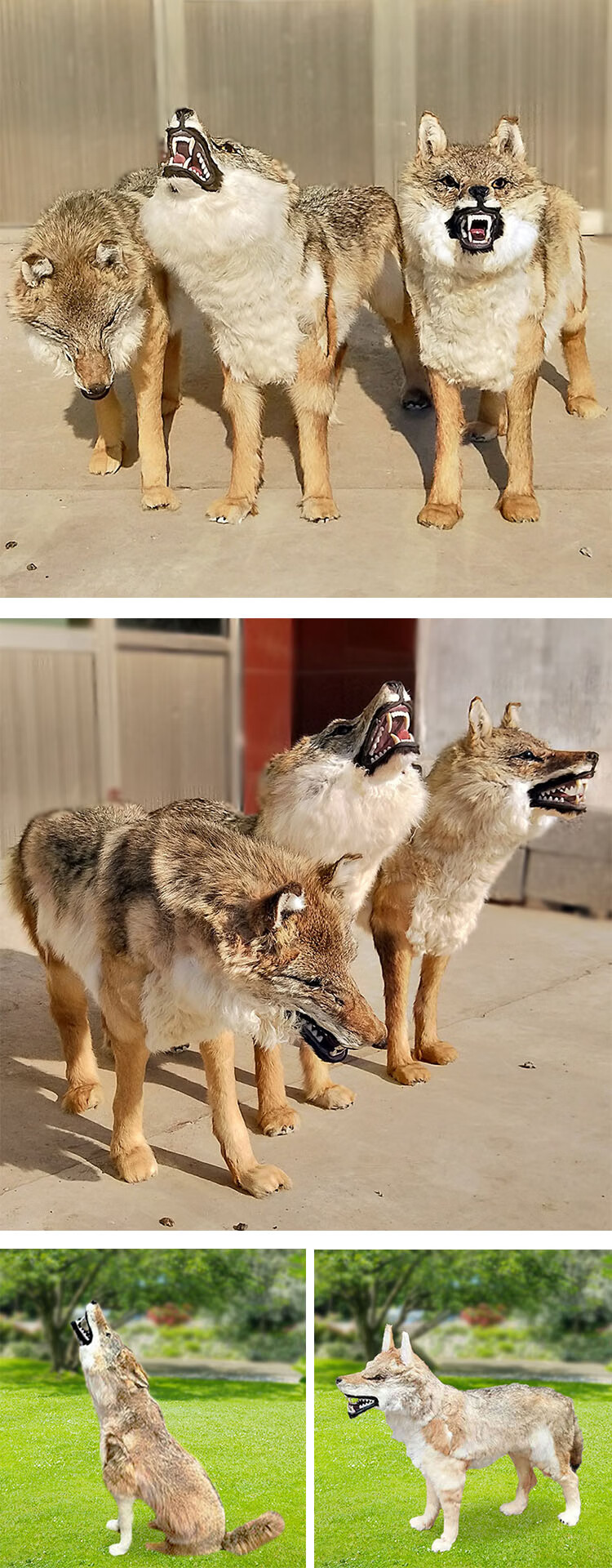 大型仿真狼模型1比1狼标本野生动物真皮毛工艺品假狼摆件影视道具仿真