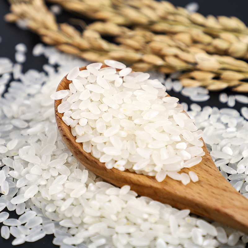 稻场 五常长香王大米香米鸭田稻花香东北黑龙江大米粳米新米真空装 有