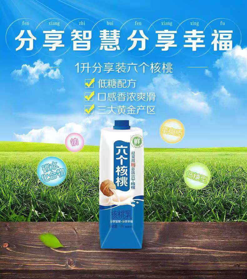 六个核桃1l学生营养早餐奶核桃乳植物蛋白饮料大瓶六个核桃大瓶1000ml