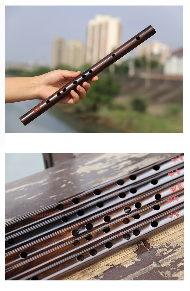 无膜孔 笛子紫檀木实木短笛儿童初学古风小乐器 老c调无膜孔短笛 书
