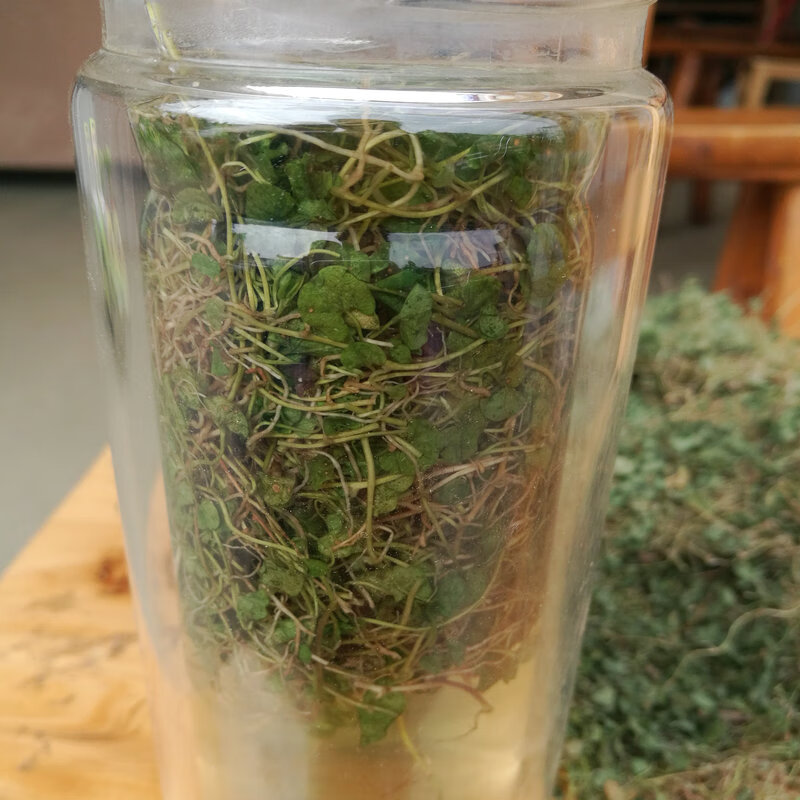 康中尊 金钱草正宗四川野生小叶金钱草溶石中药材化各种结石马蹄金250