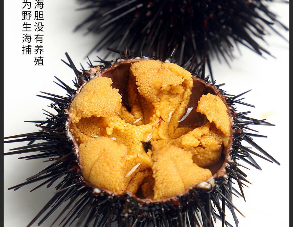 紫海胆新鲜马粪海胆鲜活黄胆刺锅即食刺身水产生鲜 索维奥 1斤尝鲜装