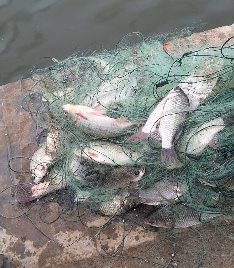 辅助装备鱼护捕鱼鱼网三层沉网沾丝网单层鲫鱼白条挂网抓鱼工具神器