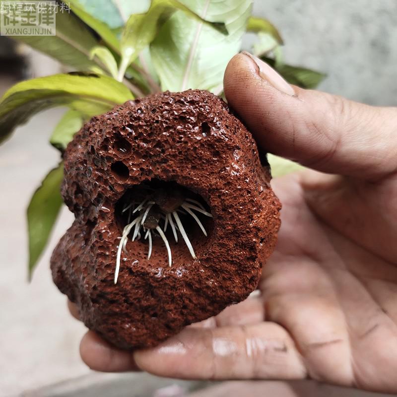 新款水草固定种植红色火山石水草定植环鱼缸造景装饰水草定植水草底座