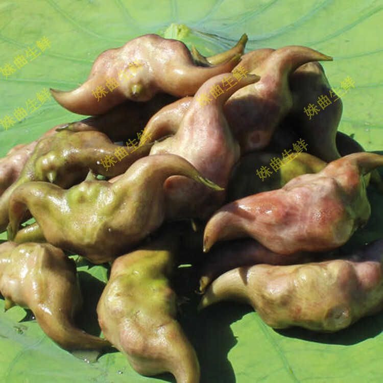 洪湖新鲜老菱角 农家黑色带壳 乌菱角 黑两角 3斤【图片 价格 品牌