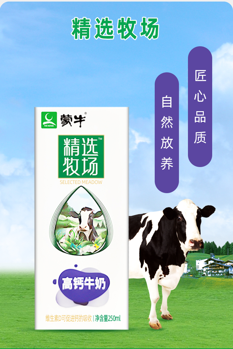 1月产蒙牛精选牧场纯牛奶250ml10盒牛奶tk10盒