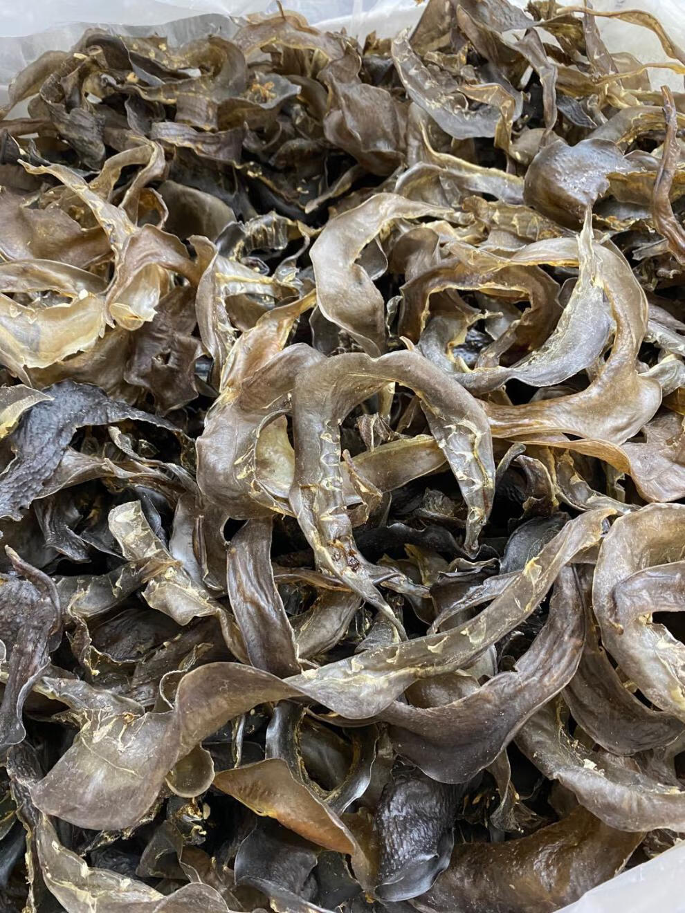 90头甲鱼裙边干 水鱼边王八裙边 龟裙边乌龟边龟板胶250g 500g【图片