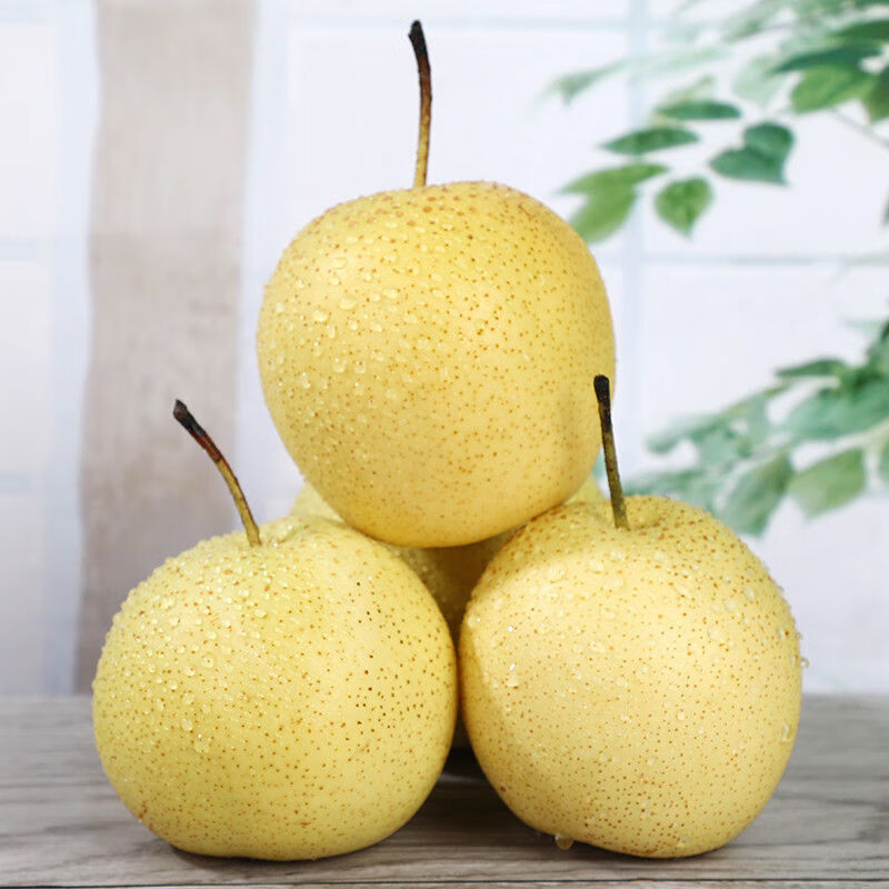 正宗雪梨河北雪花梨梨子批发10斤冰糖雪梨新鲜水果净重中大果5斤