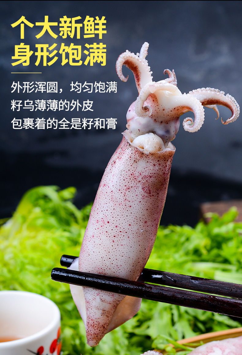 满籽籽乌全籽籽乌生鲜海兔笔管鱼墨鱼鱿鱼墨斗鱼烧烤海鲜精选原籽满籽