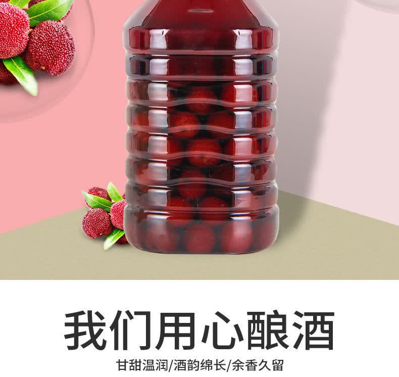 浙江宁波特产杨梅酒果酒慈溪农家高度烧酒梅子酒新鲜杨梅浸泡自酿2500