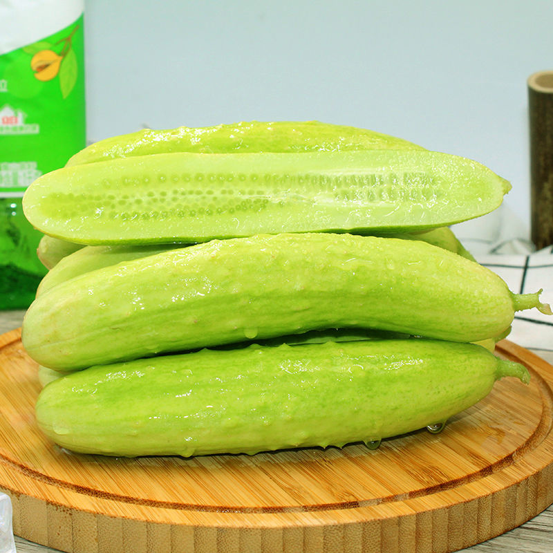 海阳白玉黄瓜现摘现发时令新鲜生吃水果白黄瓜蔬菜小青瓜山东特产5斤