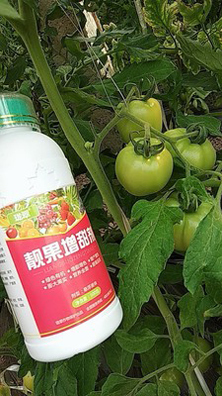 进口增甜剂水果专用甜如蜜增甜素甜蜜素叶面肥香瓜葡萄西瓜500克爱