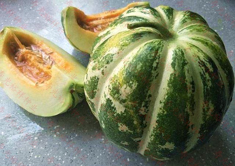 老品种面瓜种籽黄皮黑皮花皮面瓜种子露地生吃甜瓜香瓜四季可留种