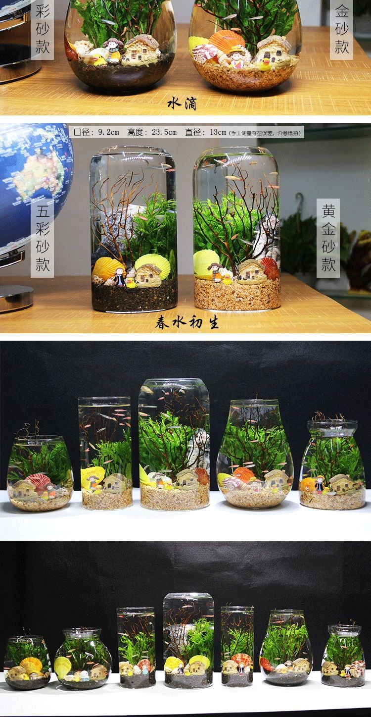 观赏生态瓶鱼微景观免换水免打理水族办公桌面创意造景鱼缸圆柱特大号
