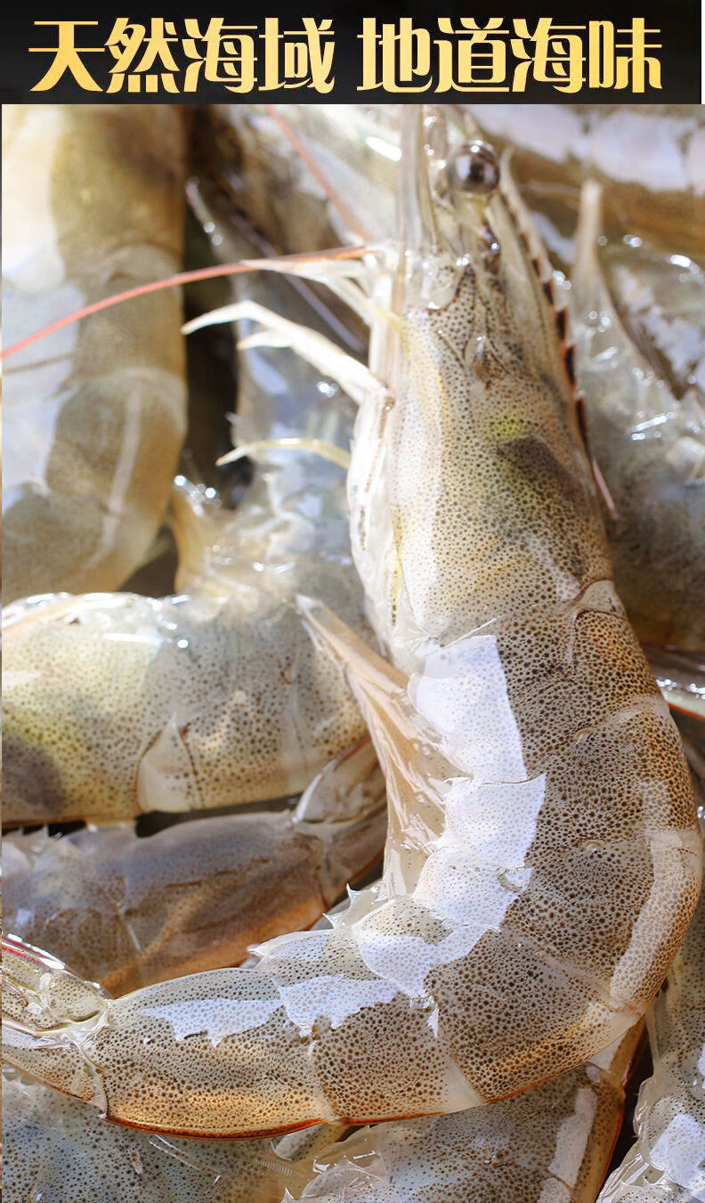 苗芯旗艦店 新鮮鮮活海鮮青島海捕大蝦基圍蝦鮮蝦3斤特大海蝦白蝦凍蝦