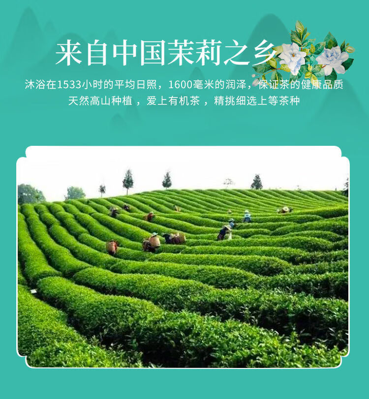 茉莉花茶叶龙珠茉莉花茶散装500g新茶2021茉莉花茶浓香型袋装 白龙珠