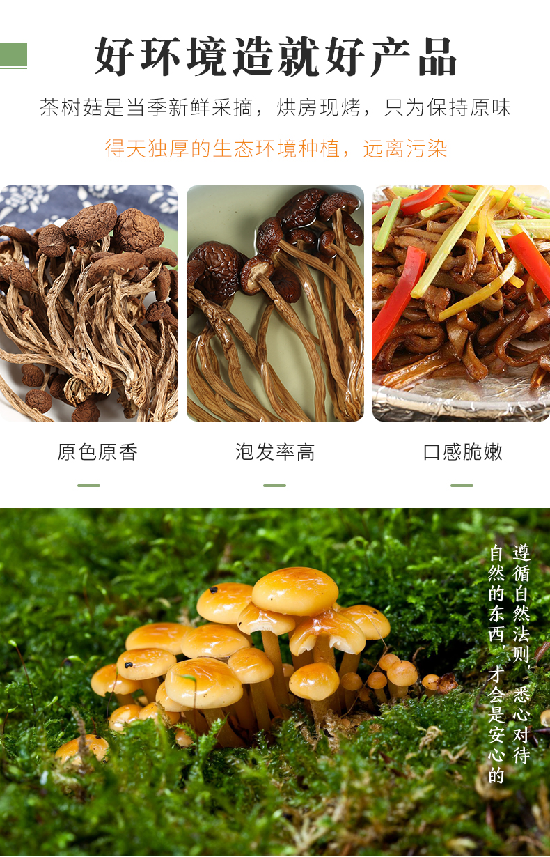 茶树菇干货新鲜野生不开伞煲汤小蘑菇农家新货土特产散装 250g